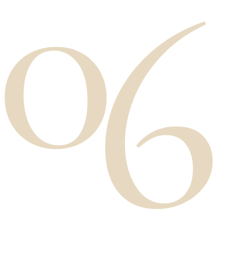 06